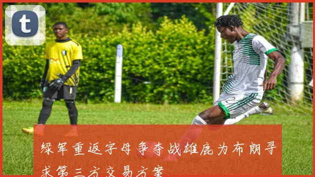 绿军重返字母争夺战雄鹿为布朗寻求第三方交易方案